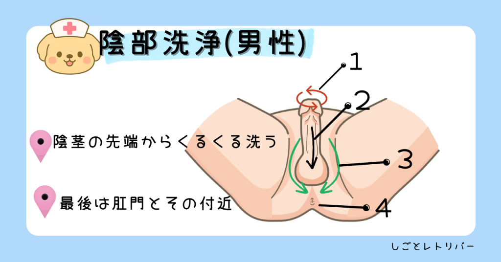 陰部洗浄の方法（男性）